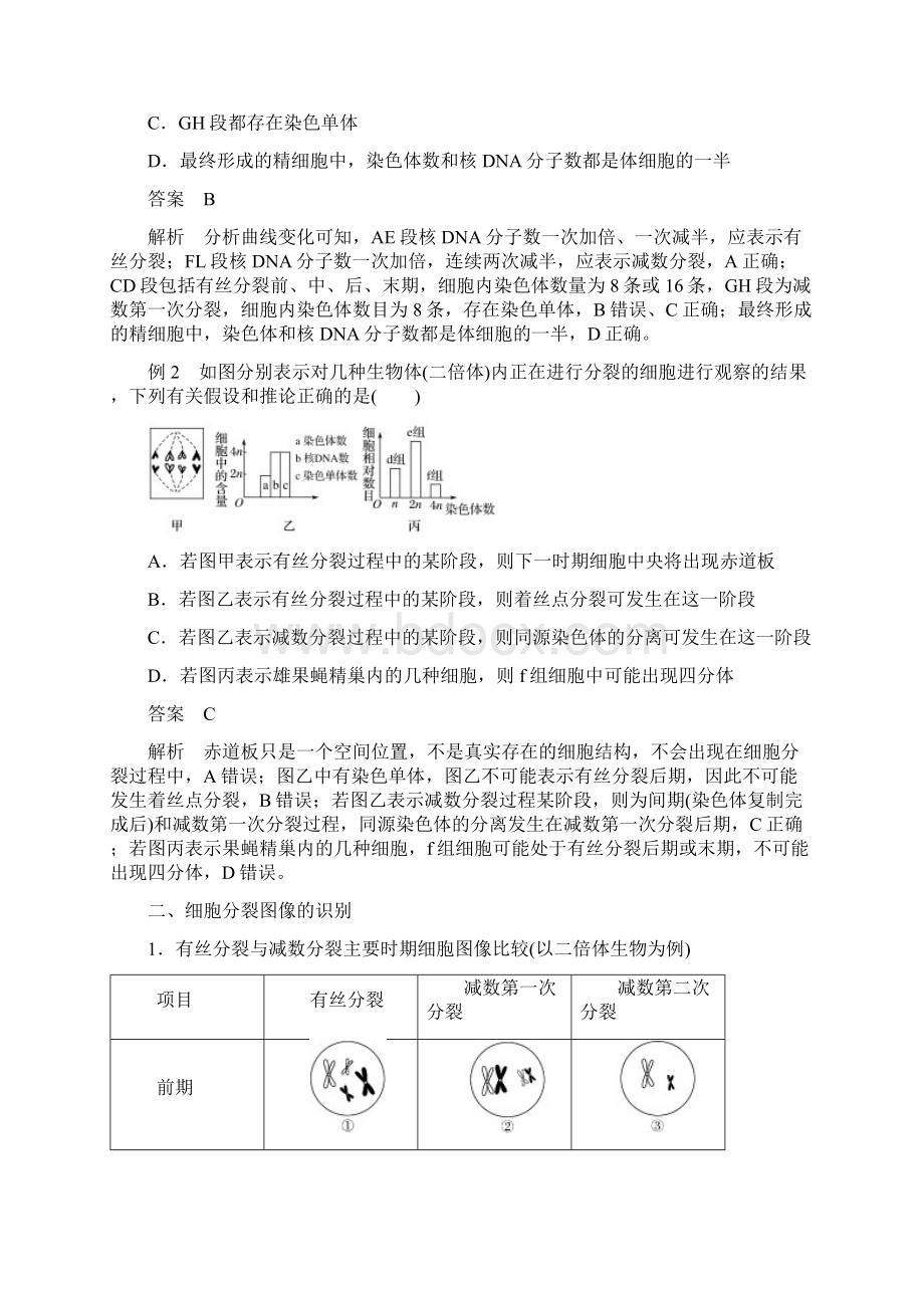 学年人教版减数分裂中染色体DNA等数目的变化规律及细胞图像识别教案文档格式.docx_第3页