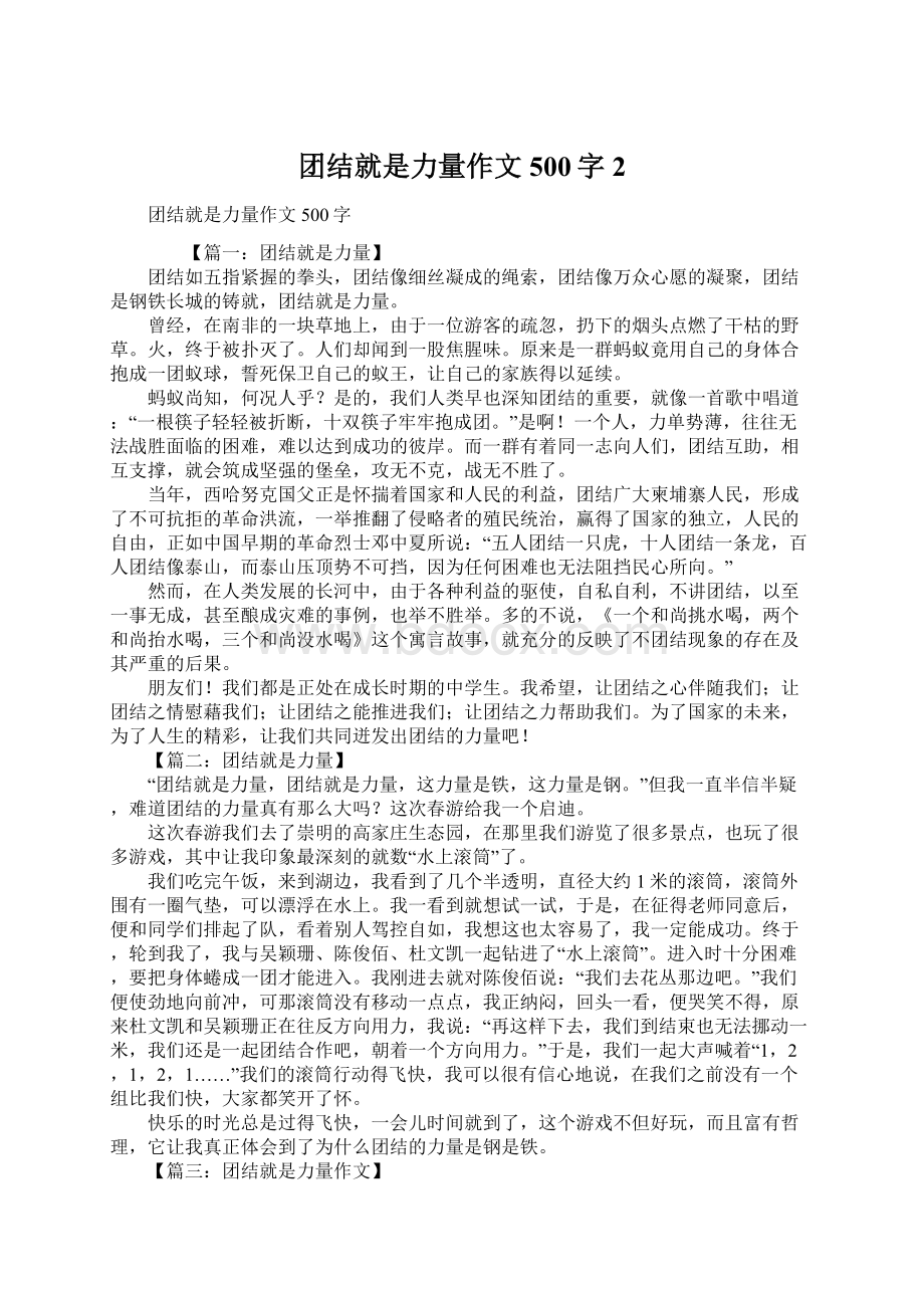 团结就是力量作文500字2文档格式.docx