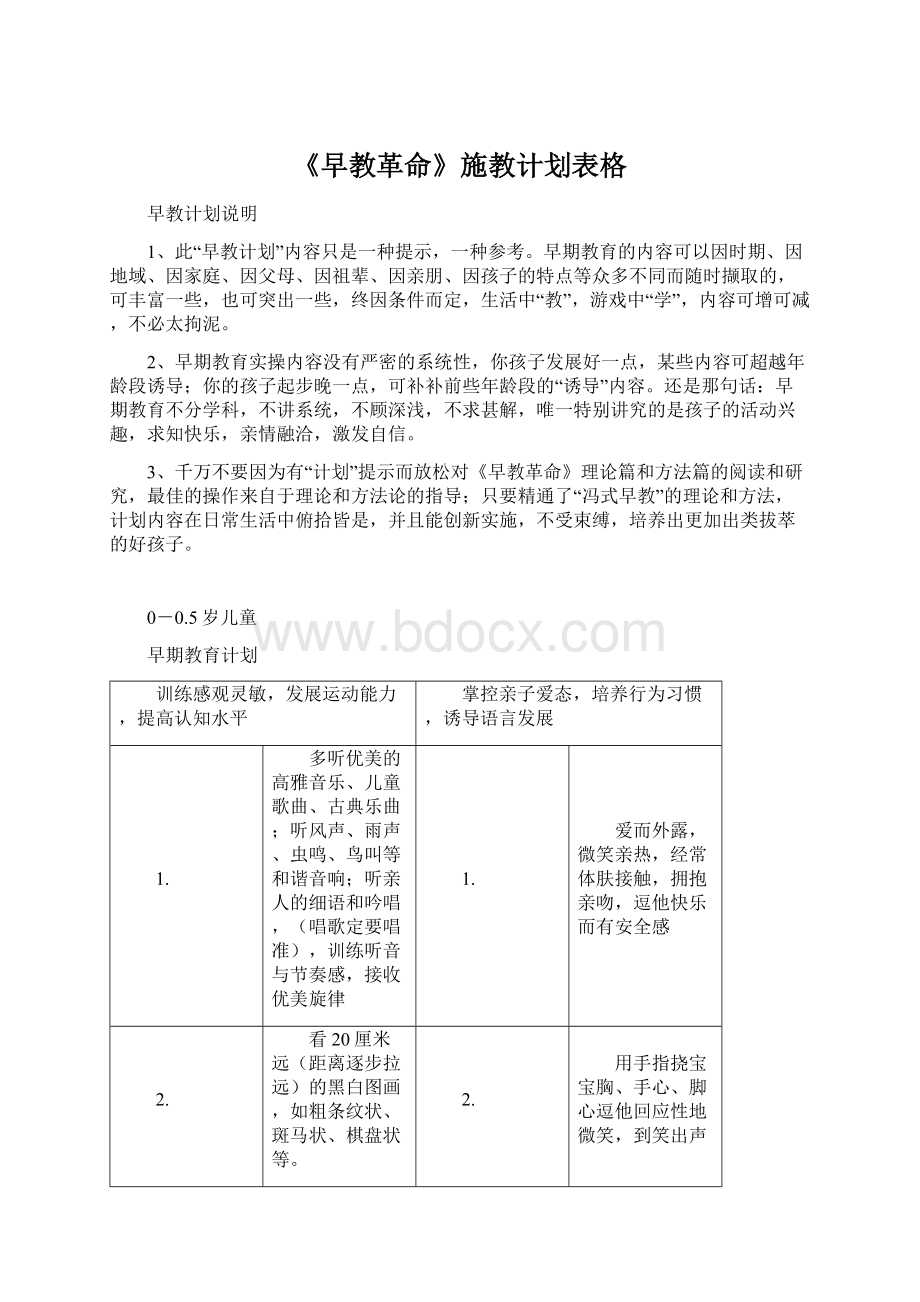 《早教革命》施教计划表格Word下载.docx