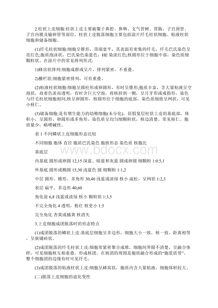 临床医学检验主管技师中级考试辅导临床检验基础脱落细胞检查.docx_第3页