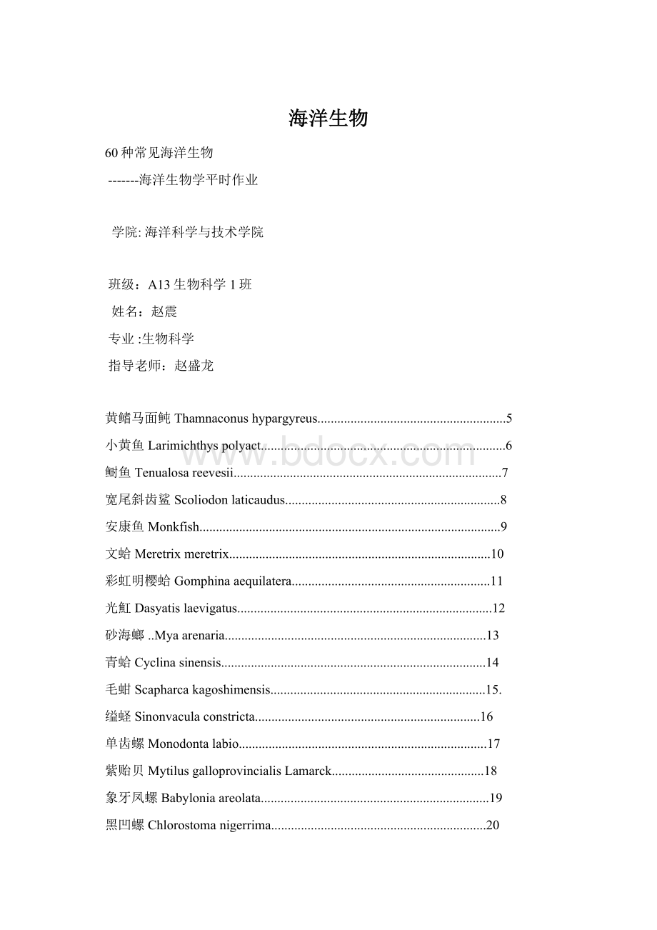 海洋生物Word文档下载推荐.docx_第1页