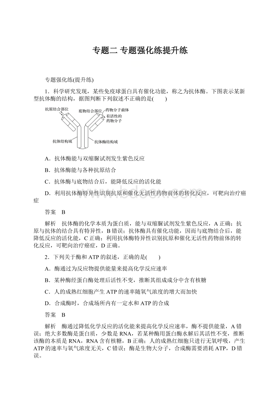 专题二 专题强化练提升练Word文件下载.docx