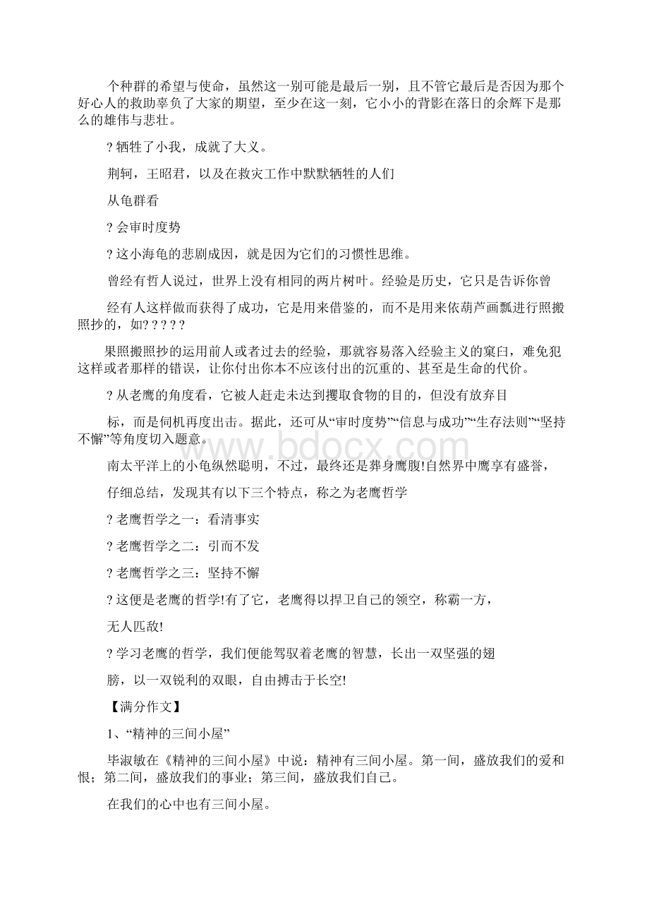 乌龟作文之南太平洋岛国上的乌龟的作文素材.docx_第2页