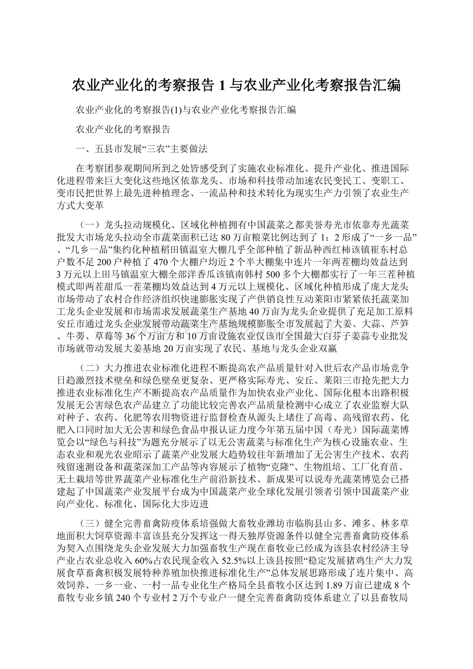 农业产业化的考察报告1与农业产业化考察报告汇编Word格式文档下载.docx