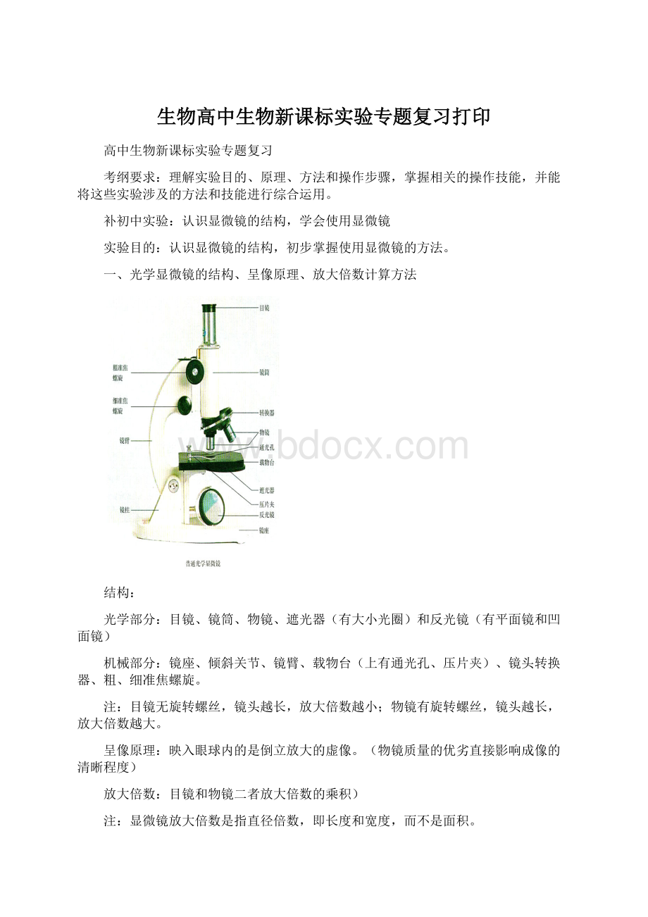 生物高中生物新课标实验专题复习打印Word文件下载.docx_第1页