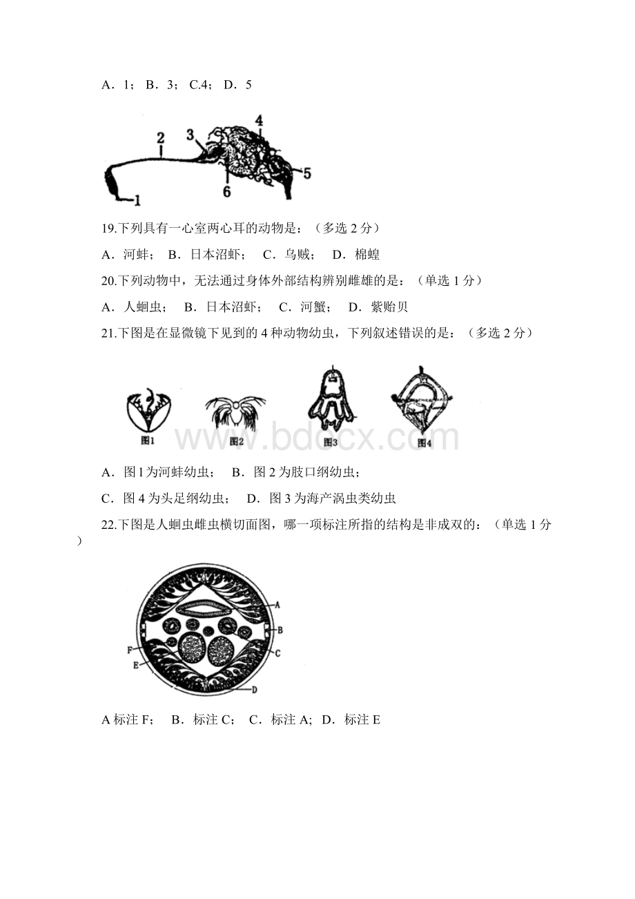 福建省中学生生物学初赛试题及答案wordWord文档下载推荐.docx_第3页