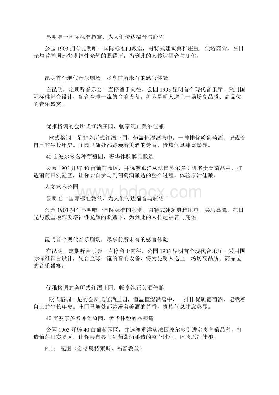 公园1903 一期楼书文案Word文档下载推荐.docx_第3页