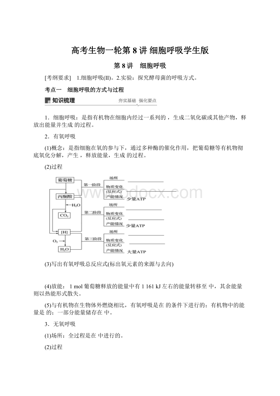 高考生物一轮第8讲细胞呼吸学生版.docx