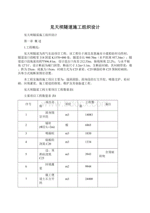 见天坝隧道施工组织设计.docx