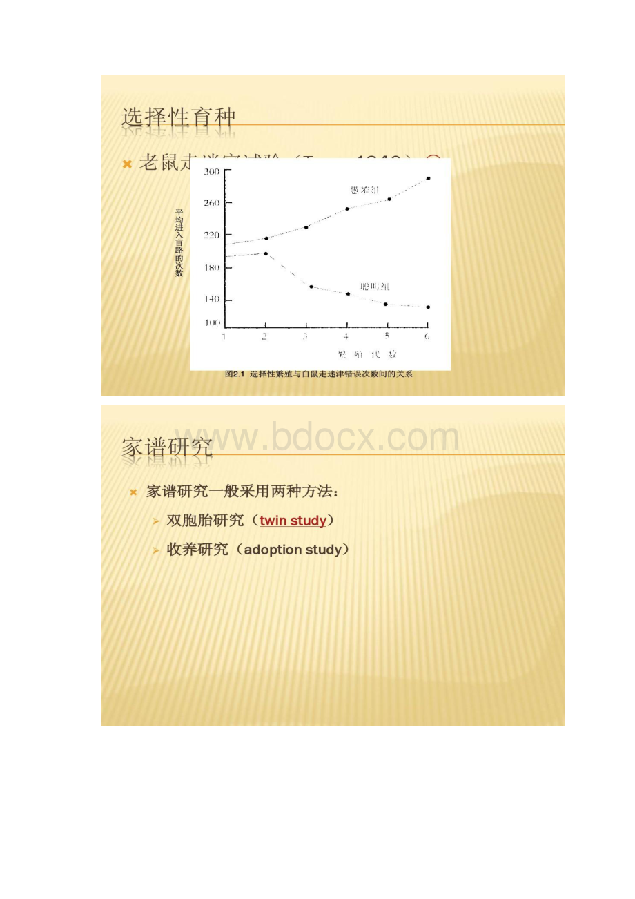 电大儿童心理学第3章学前儿童心理发展的生物学因素Word文件下载.docx_第3页