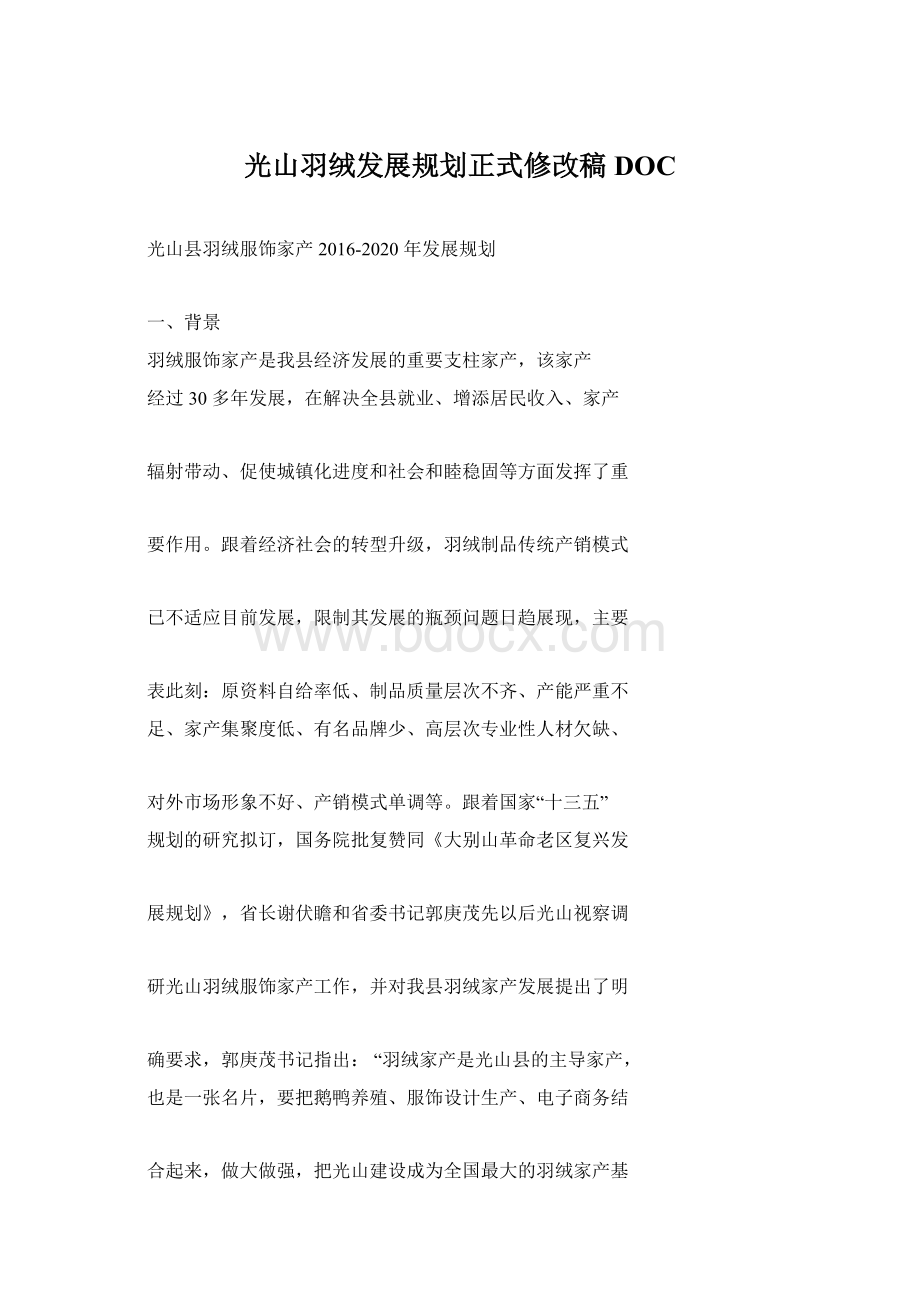 光山羽绒发展规划正式修改稿DOC.docx_第1页