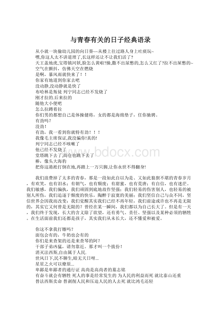 与青春有关的日子经典语录Word格式.docx_第1页