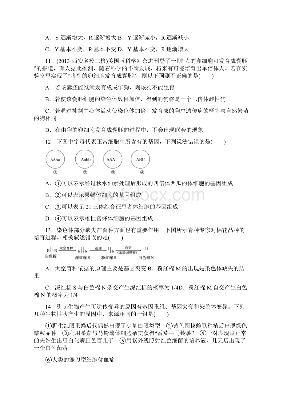 必修二分子遗传学试题Word文件下载.docx_第3页