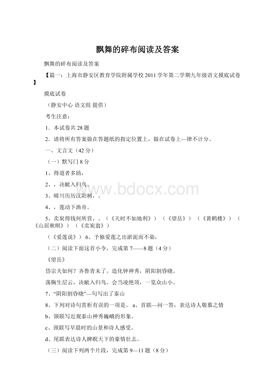 飘舞的碎布阅读及答案Word格式文档下载.docx