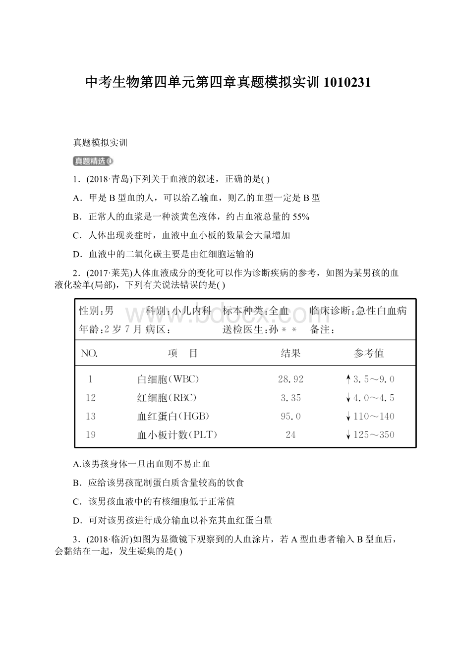 中考生物第四单元第四章真题模拟实训1010231Word文档格式.docx