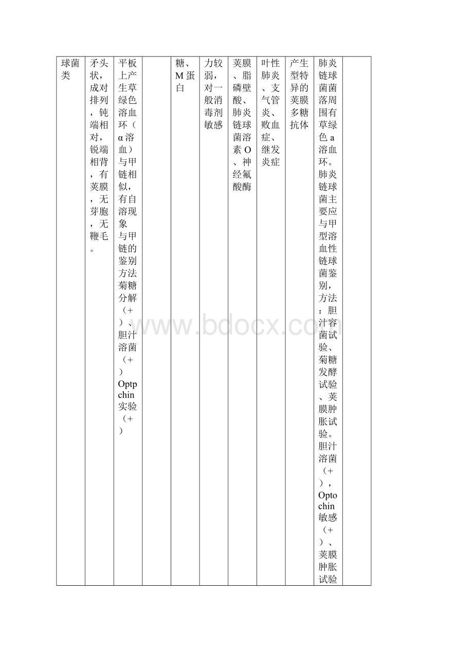 微生物细菌汇总表格Word文件下载.docx_第3页