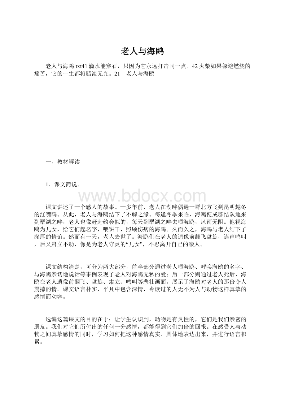 老人与海鸥Word文档格式.docx