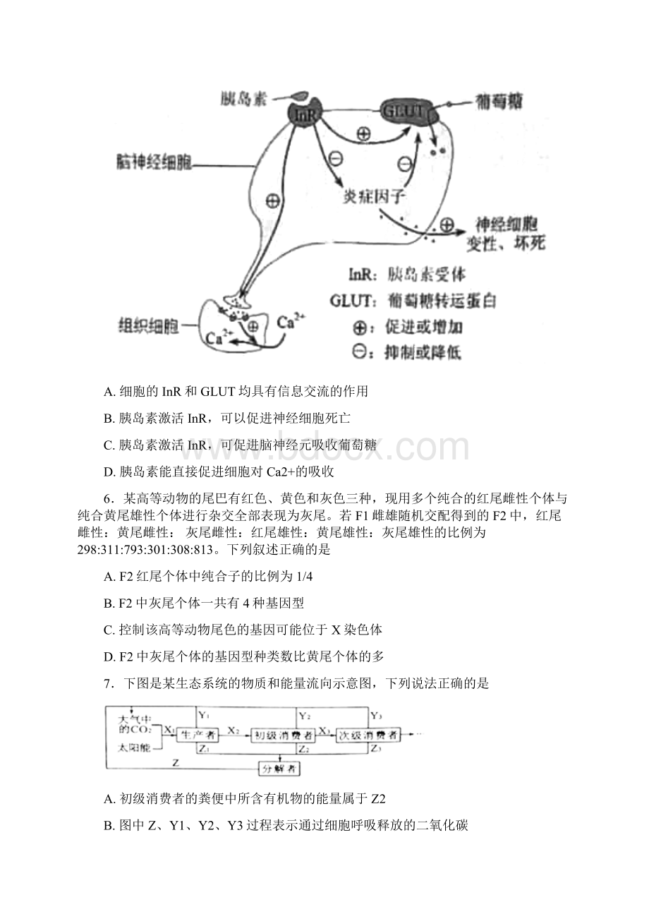 学年河北省定州中学高二承智班下学期期中考试生物试题Word版含答案.docx_第3页