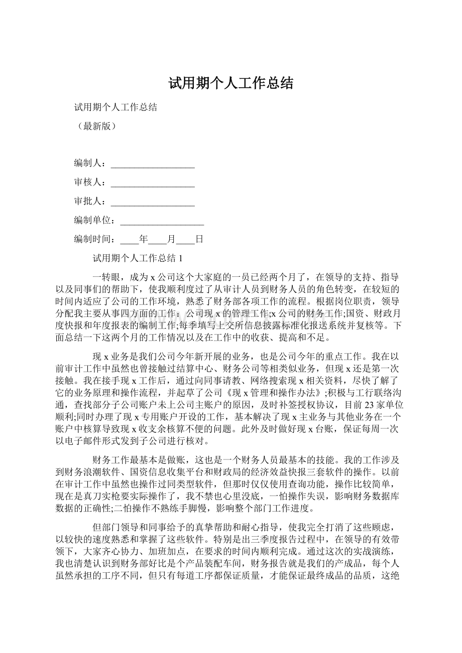 试用期个人工作总结.docx