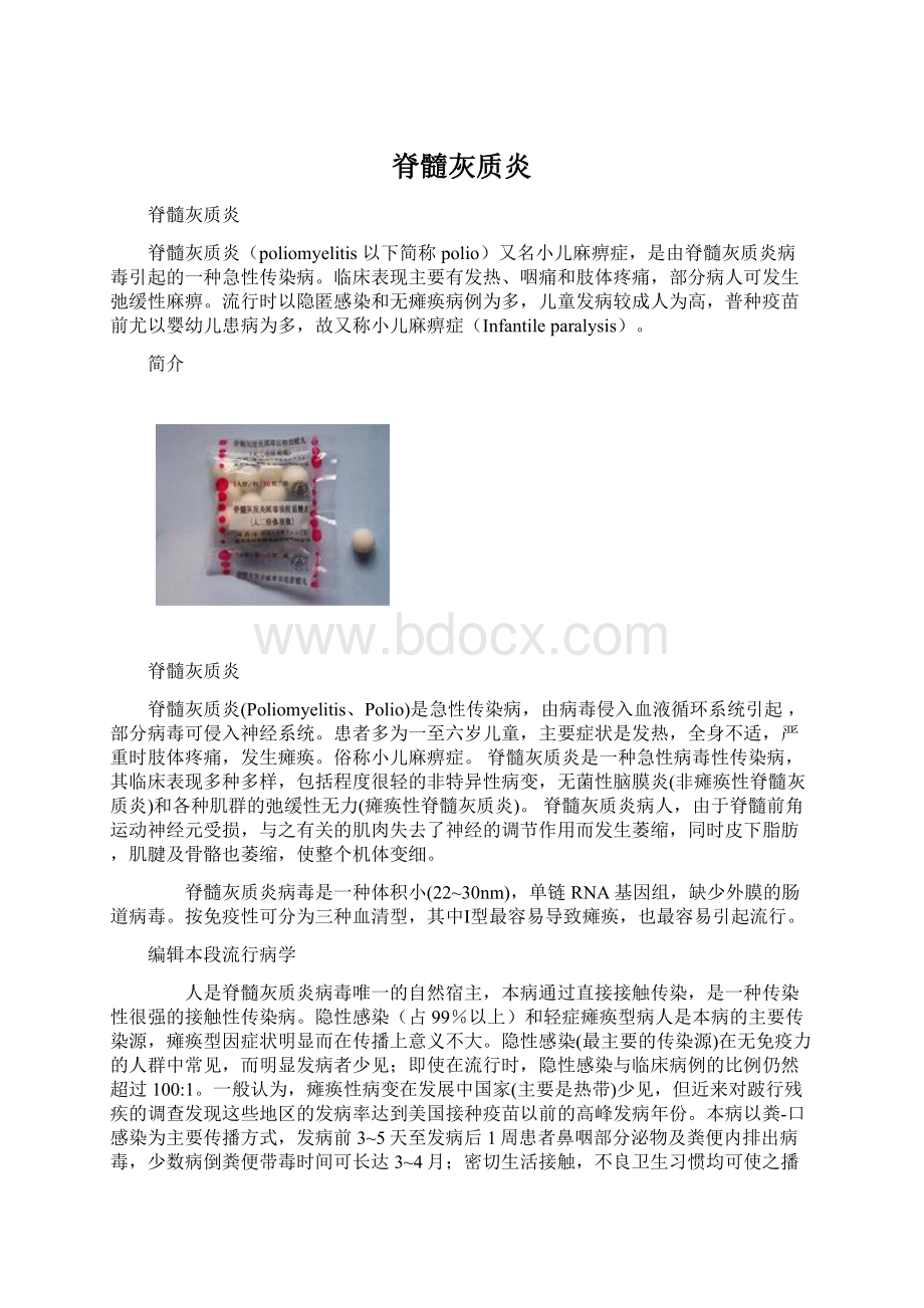 脊髓灰质炎.docx