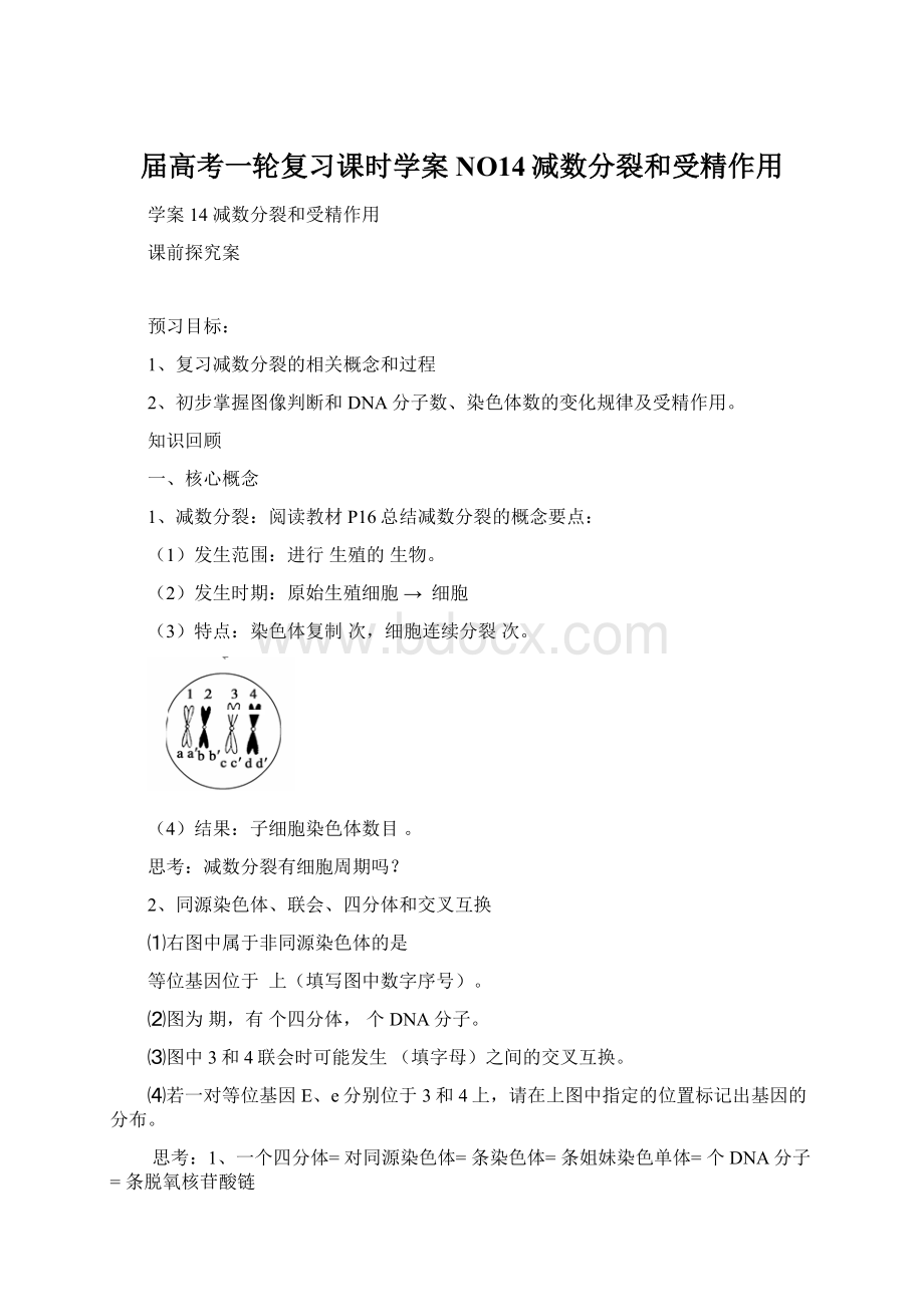 届高考一轮复习课时学案 NO14减数分裂和受精作用Word格式.docx