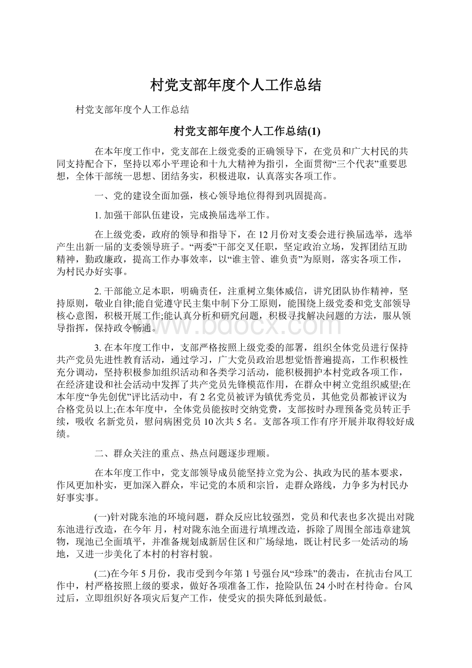 村党支部年度个人工作总结文档格式.docx