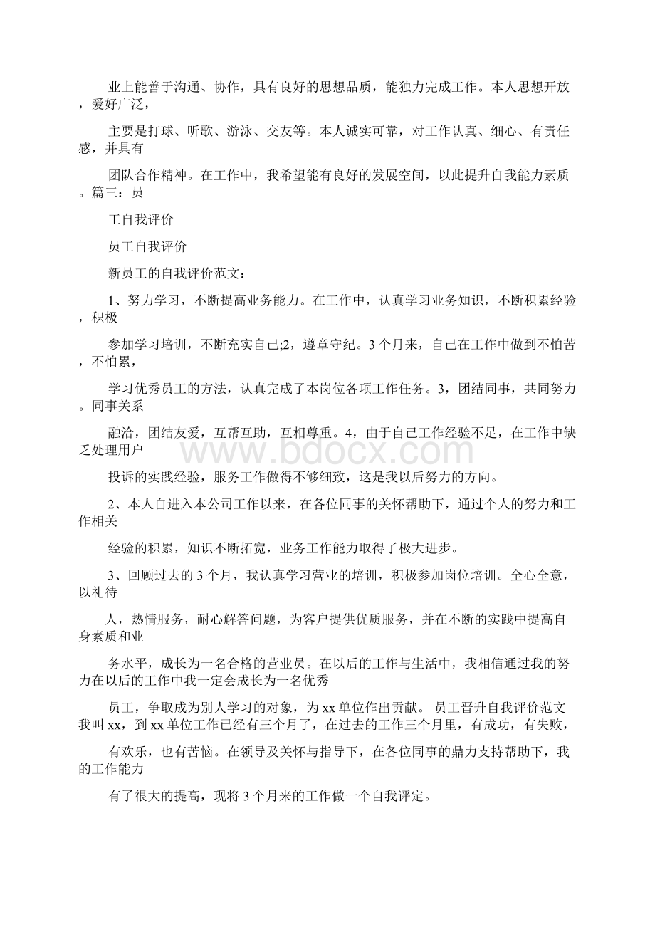 业务员晋升自我评价.docx_第3页