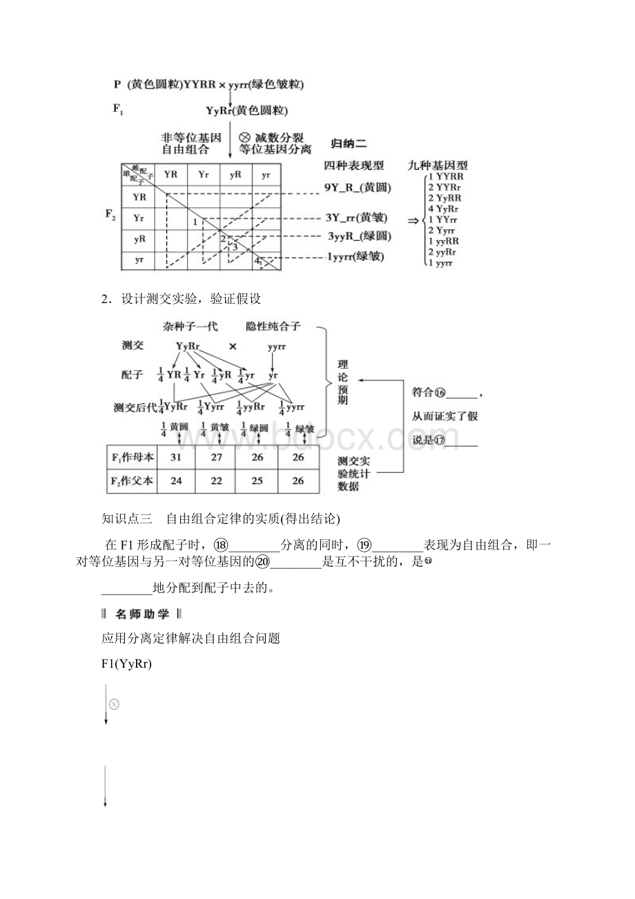 基因自由组合定律Word格式.docx_第2页