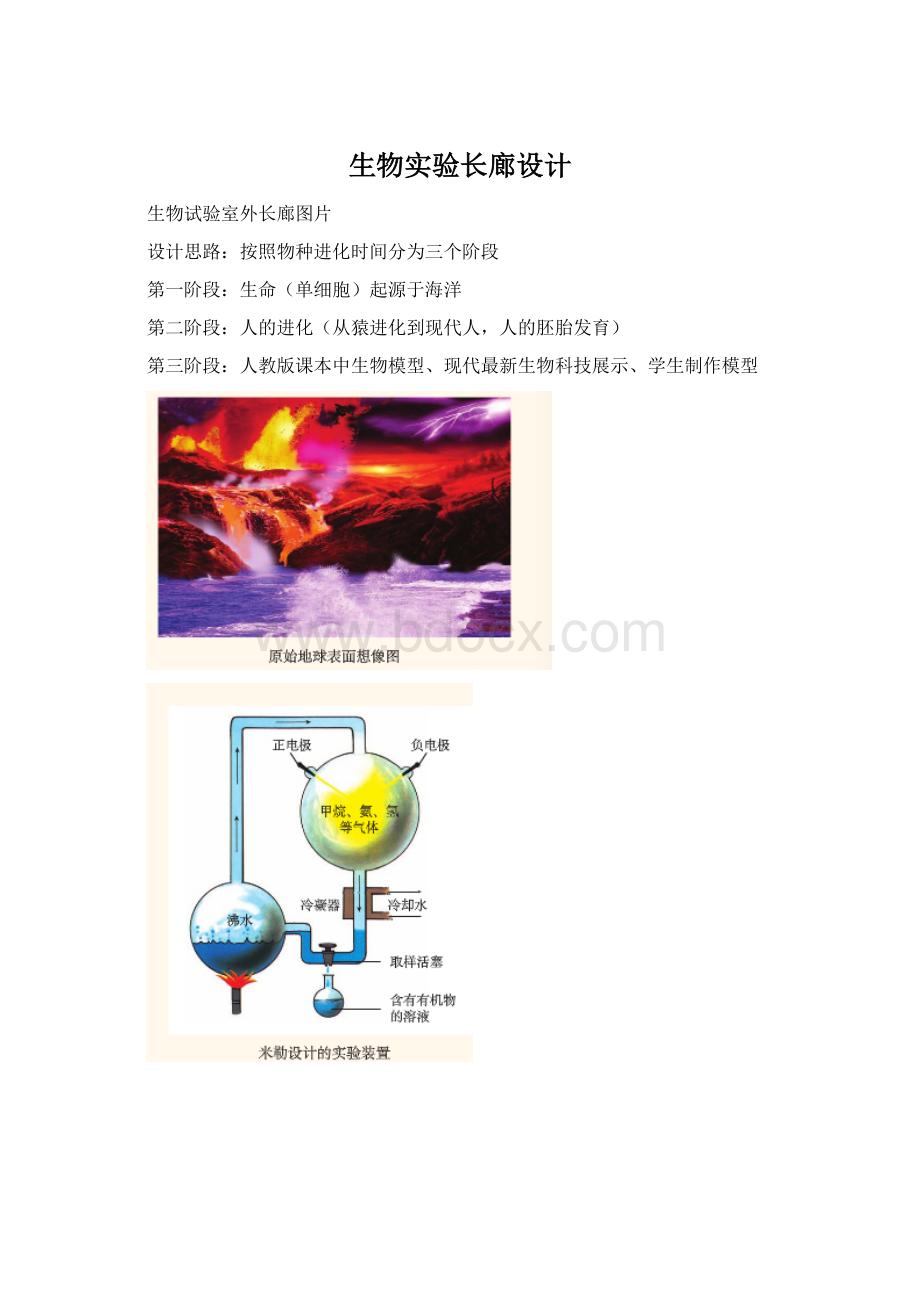 生物实验长廊设计Word文档格式.docx_第1页