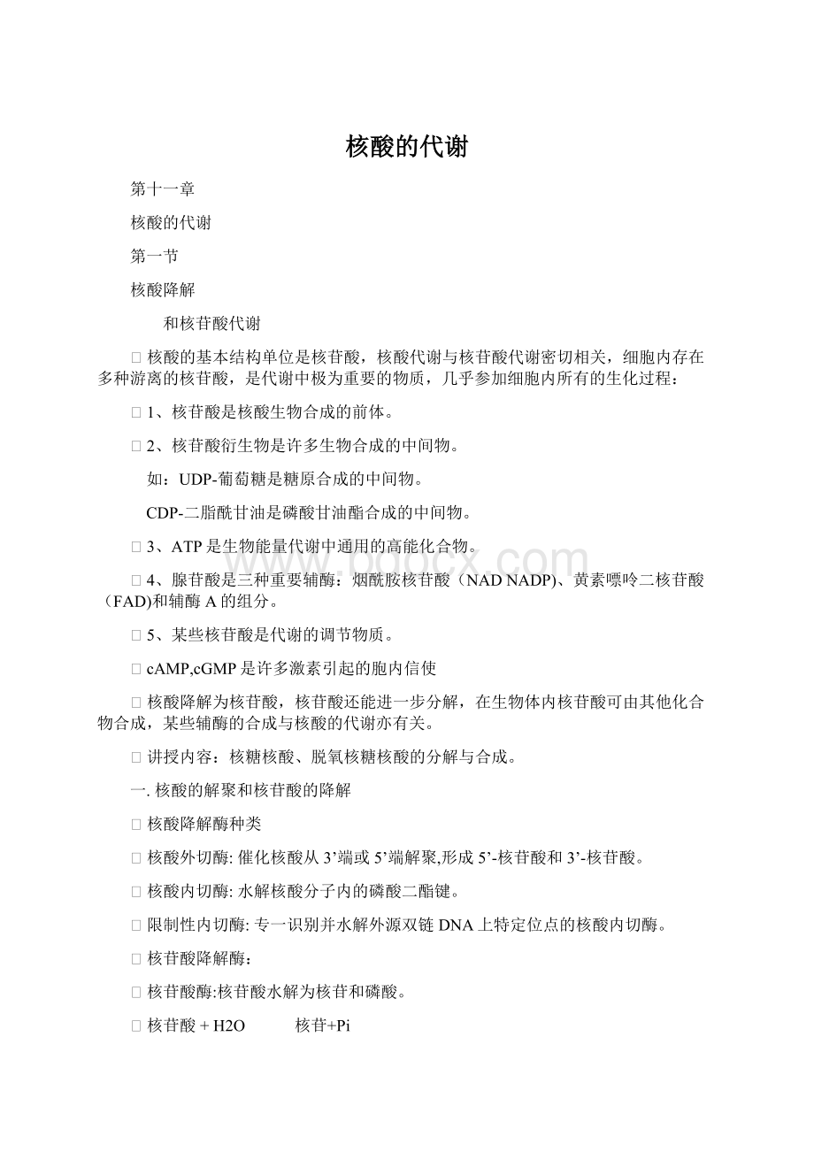 核酸的代谢Word格式.docx