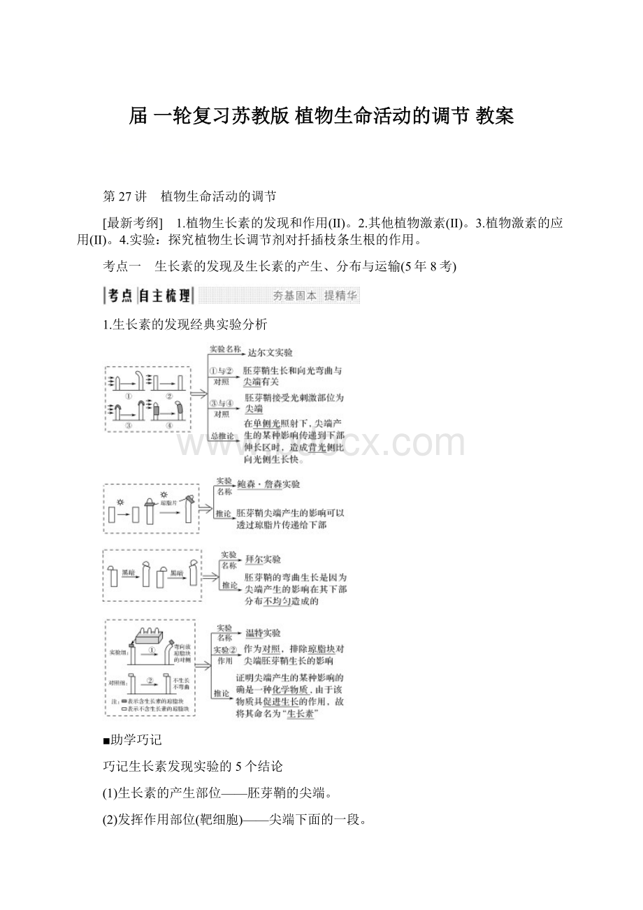 届 一轮复习苏教版 植物生命活动的调节 教案Word文档格式.docx