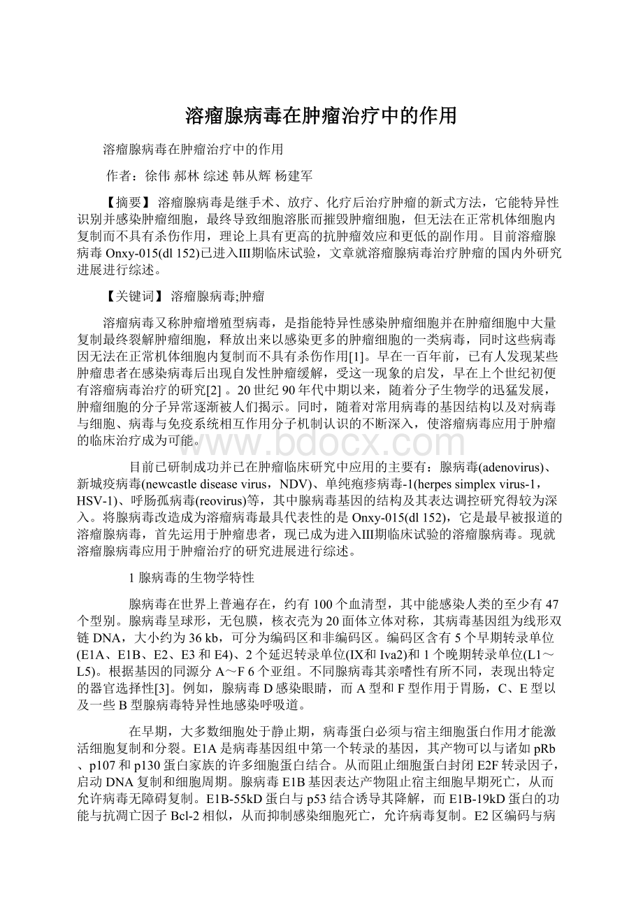 溶瘤腺病毒在肿瘤治疗中的作用Word下载.docx