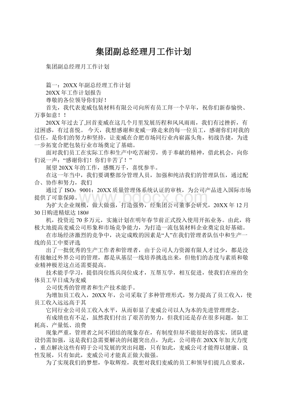 集团副总经理月工作计划Word文档格式.docx