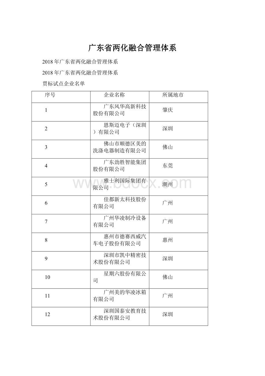 广东省两化融合管理体系文档格式.docx