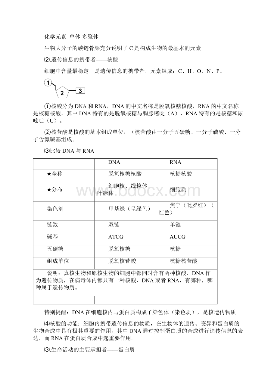 分子与细胞生物知晨读Word格式文档下载.docx_第3页