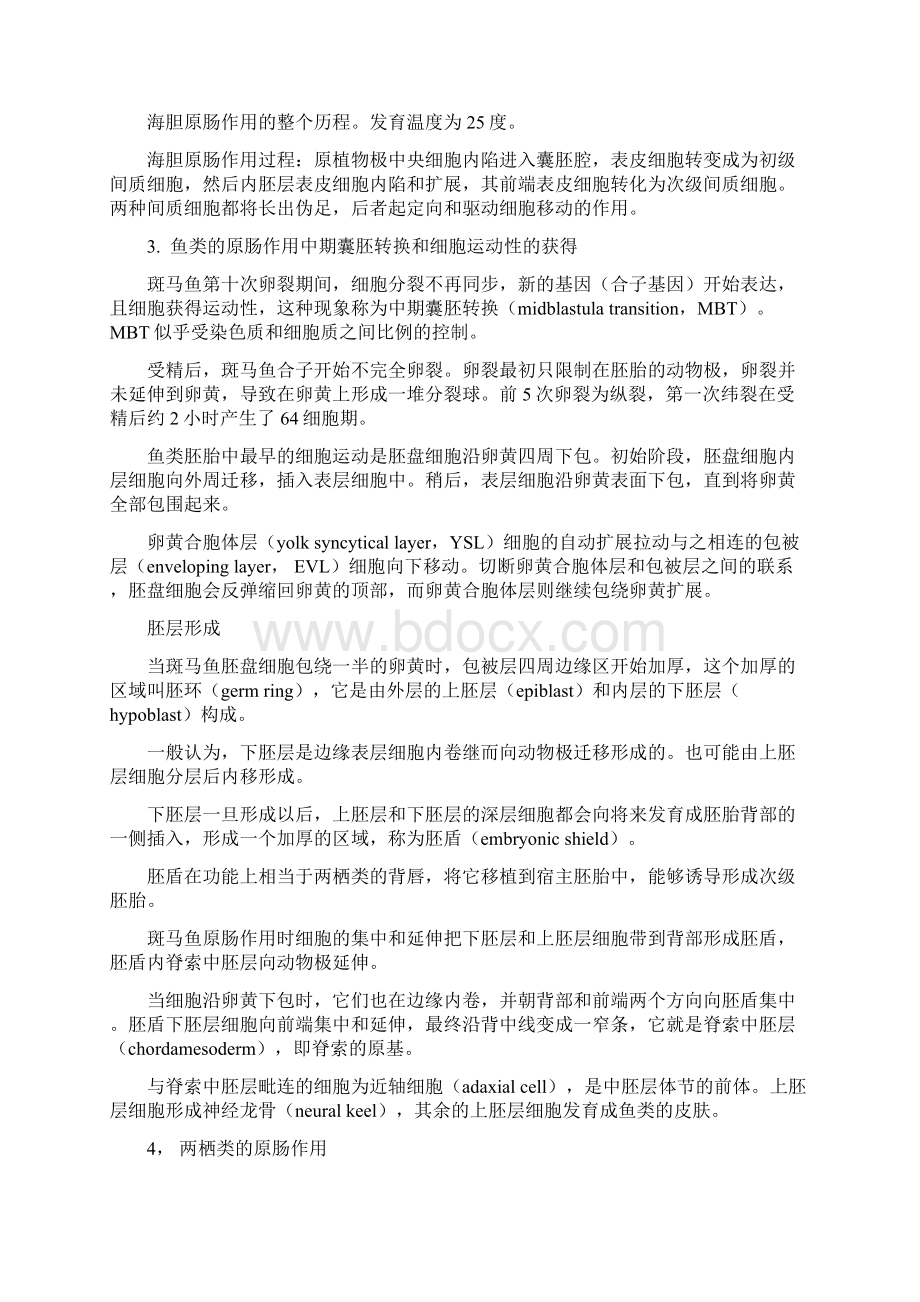 第七章原肠运动讲解.docx_第3页