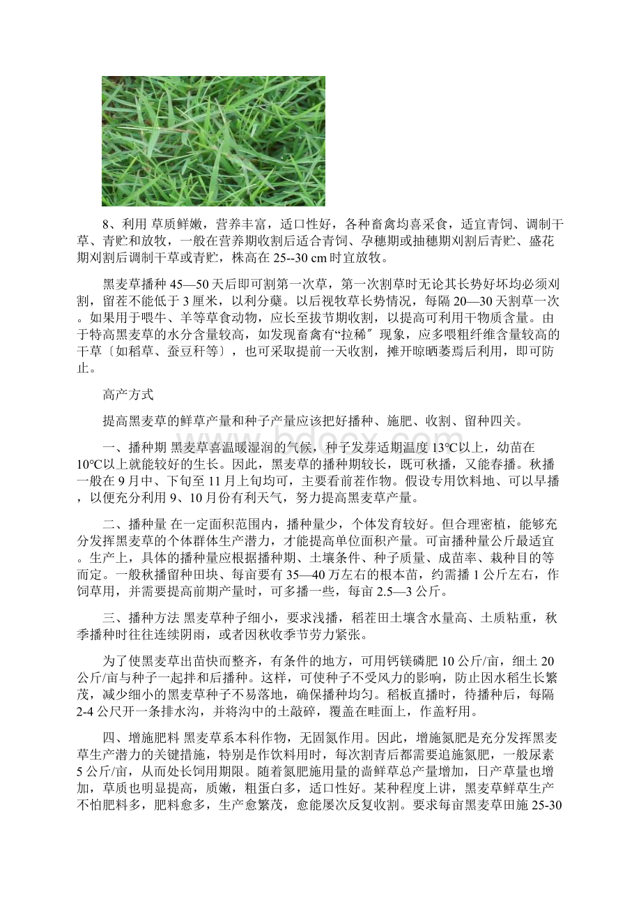 牧草种植技术.docx_第3页