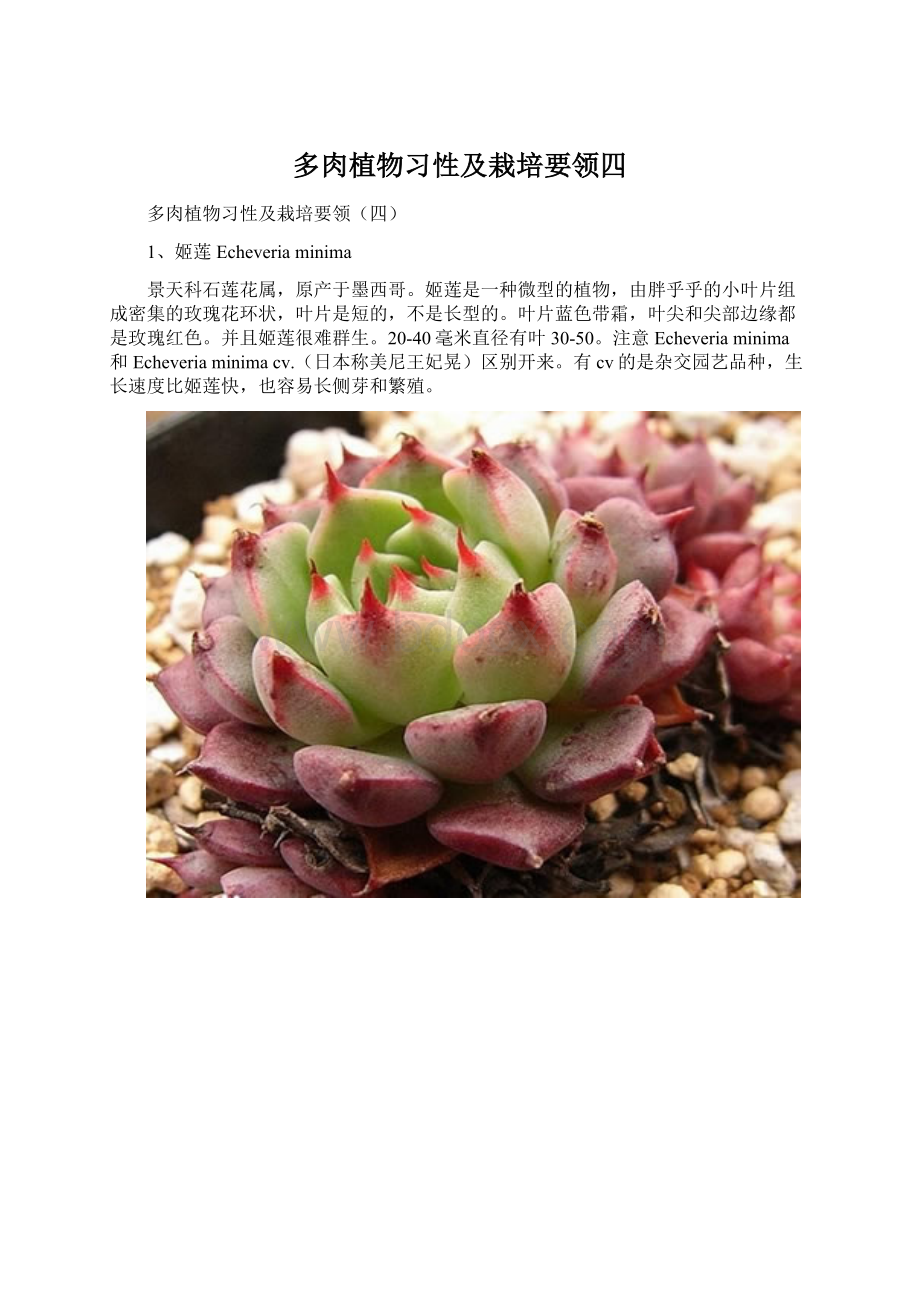 多肉植物习性及栽培要领四.docx