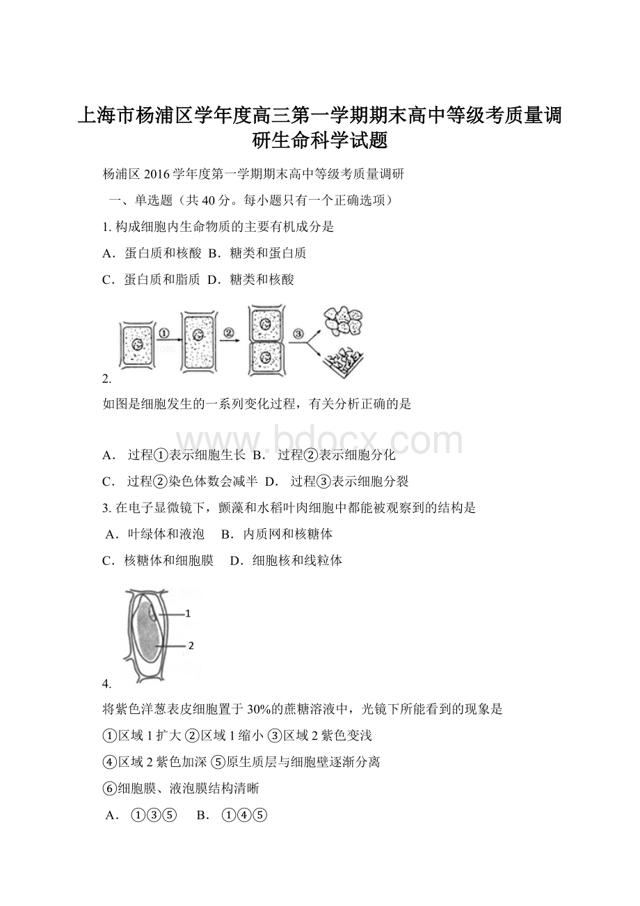 上海市杨浦区学年度高三第一学期期末高中等级考质量调研生命科学试题.docx