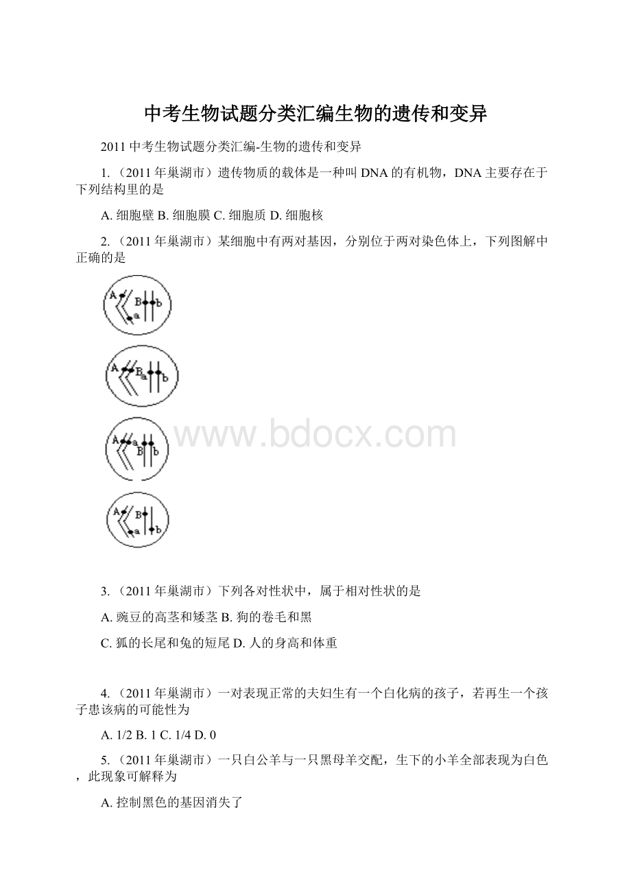 中考生物试题分类汇编生物的遗传和变异.docx_第1页