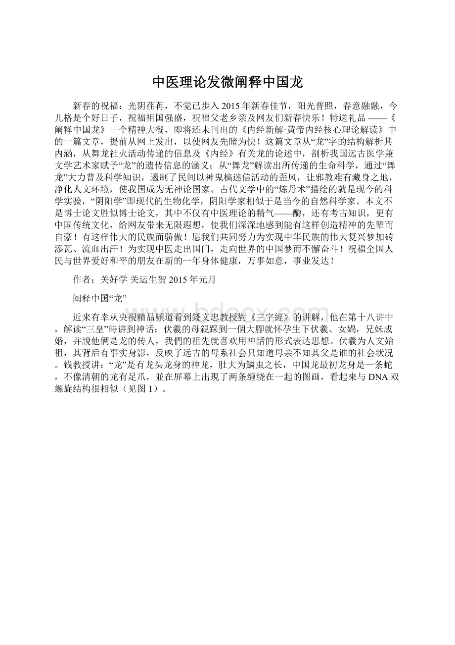 中医理论发微阐释中国龙文档格式.docx