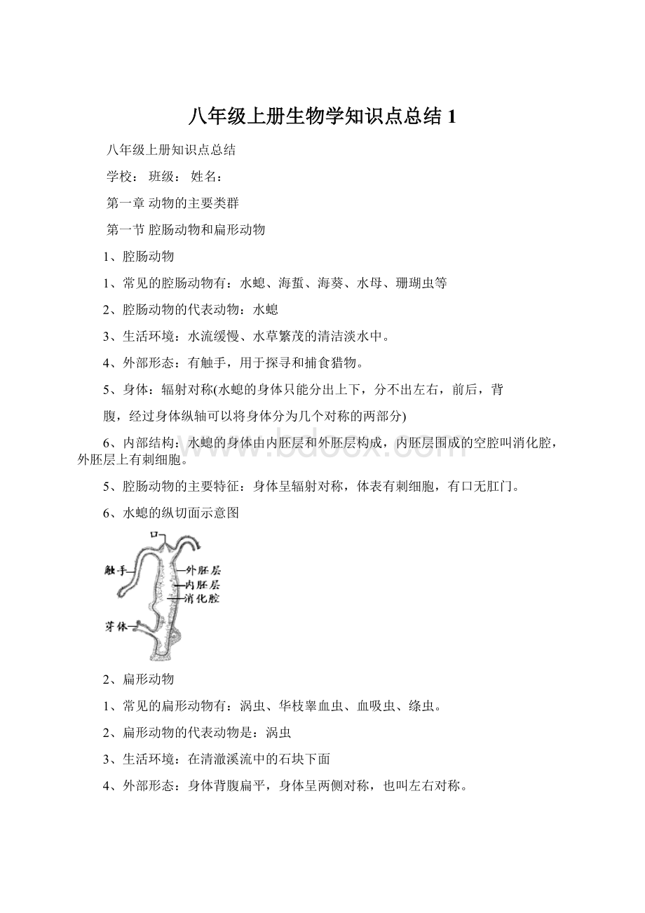 八年级上册生物学知识点总结 1.docx_第1页