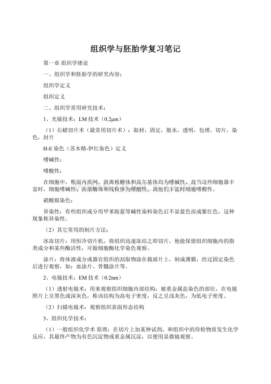 组织学与胚胎学复习笔记Word格式.docx