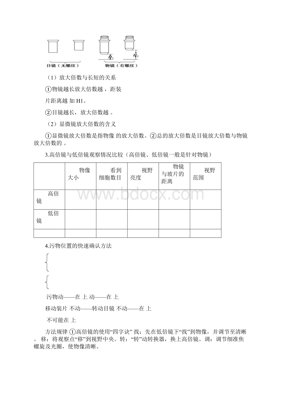 高中生物必修一知识点总结附经典例题Word文件下载.docx_第2页