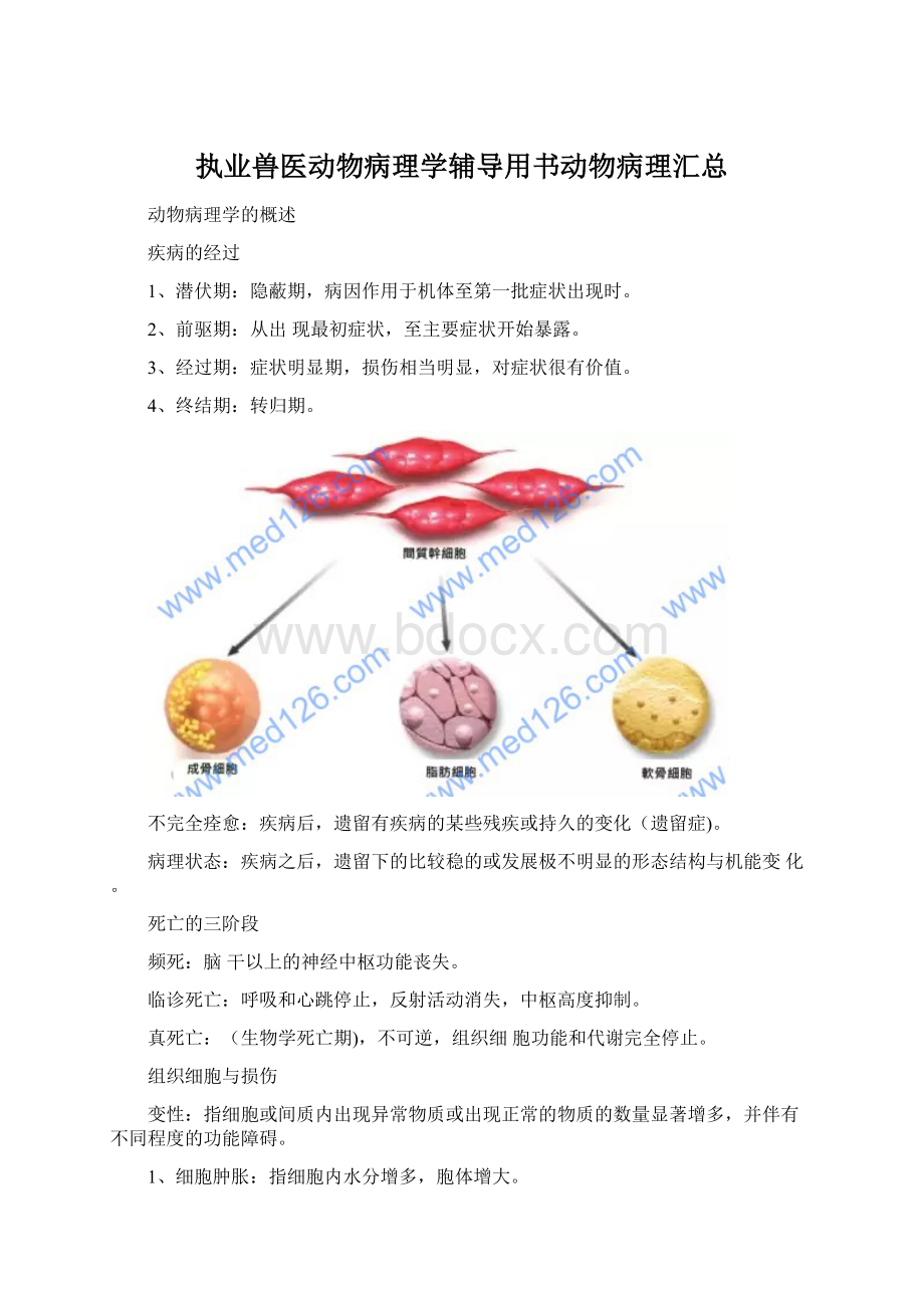 执业兽医动物病理学辅导用书动物病理汇总Word文件下载.docx