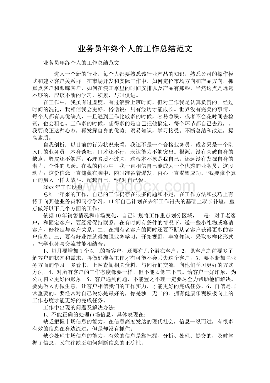 业务员年终个人的工作总结范文.docx_第1页