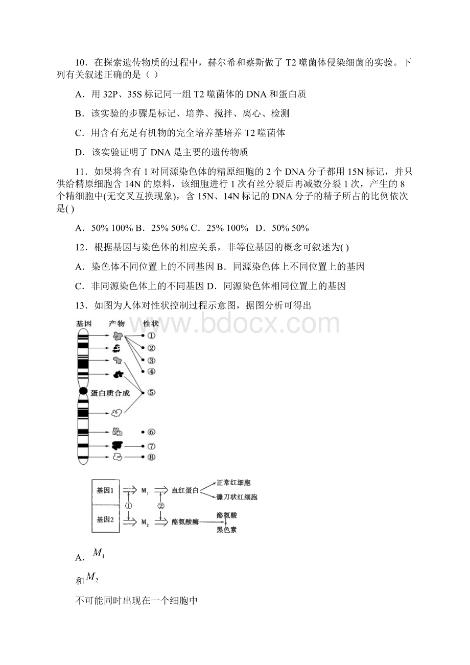 湖南省岳阳县一中度上学期高二期末考试生物试题后附答案.docx_第3页