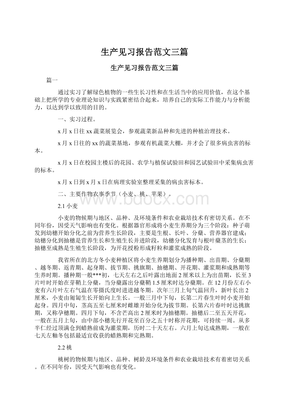 生产见习报告范文三篇.docx