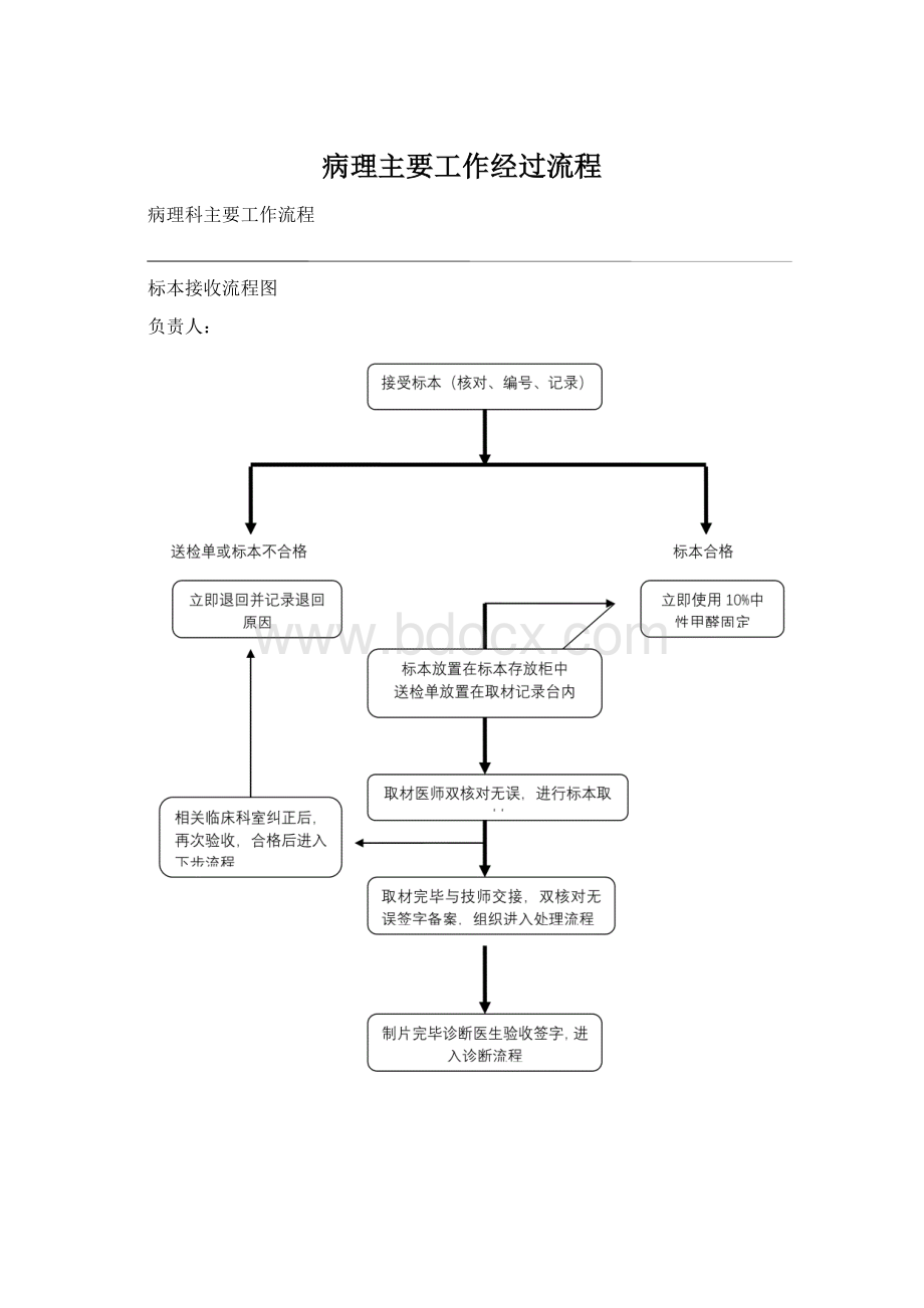 病理主要工作经过流程Word格式文档下载.docx