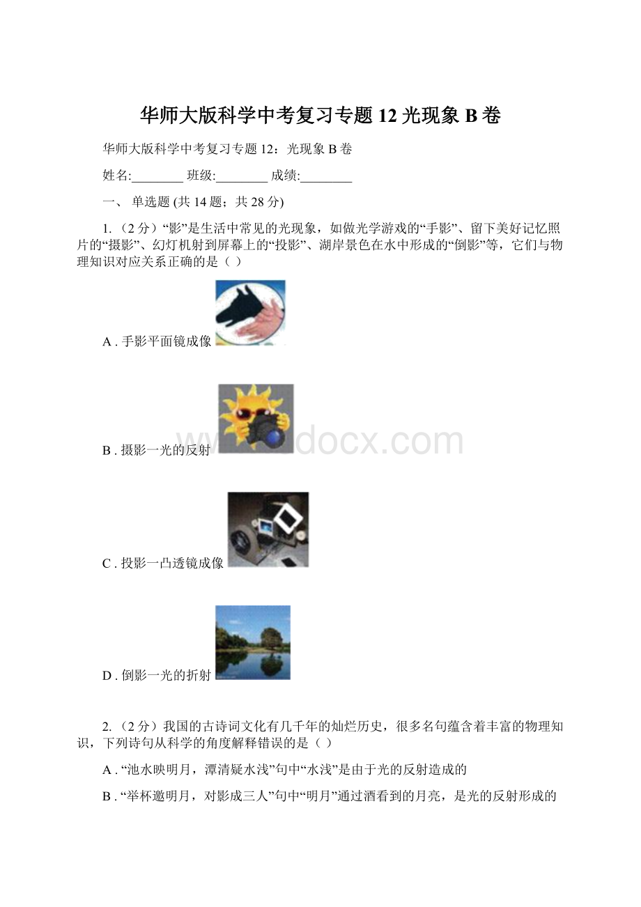 华师大版科学中考复习专题12光现象B卷.docx